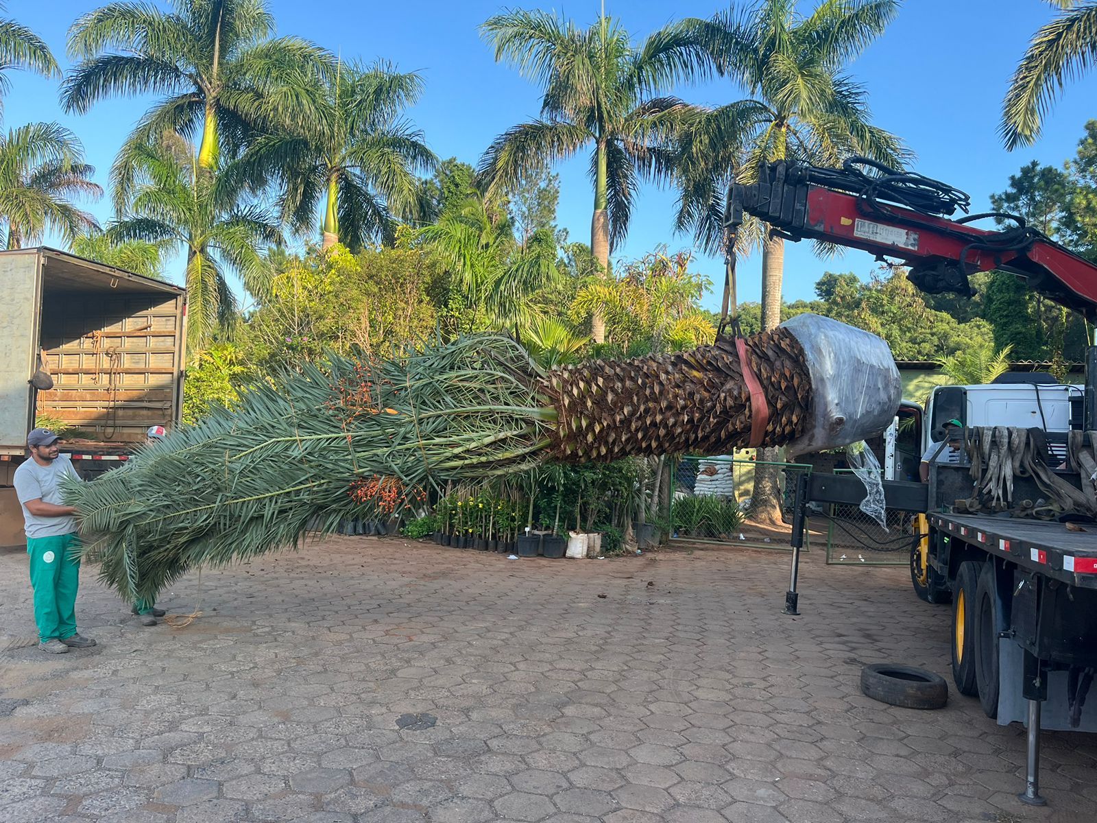 WhatsApp Image 2024-02-05 at 17.28.31 (1).jpeg