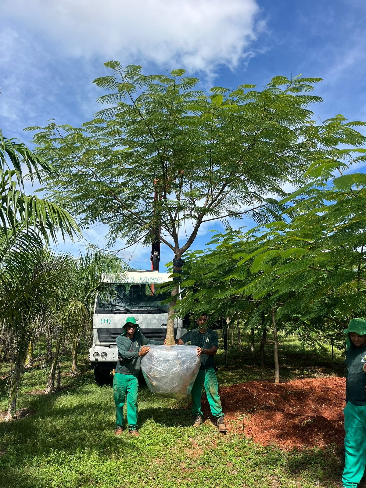 WhatsApp Image 2026-01-14 at 11.06.48 (1).jpeg