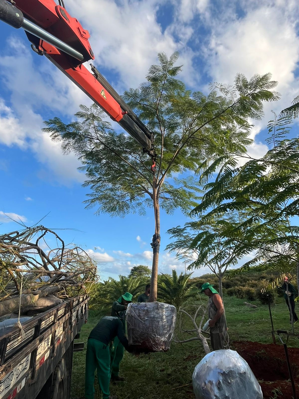 WhatsApp Image 2026-01-14 at 11.06.47 (5).jpeg