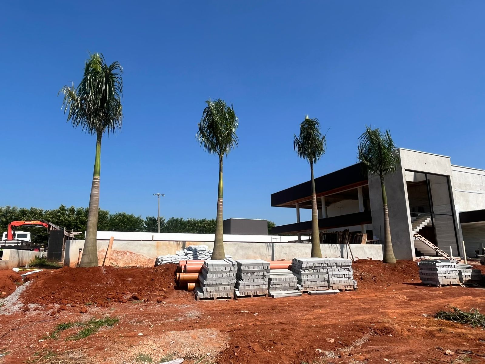 WhatsApp Image 2026-01-14 at 11.07.19.jpeg