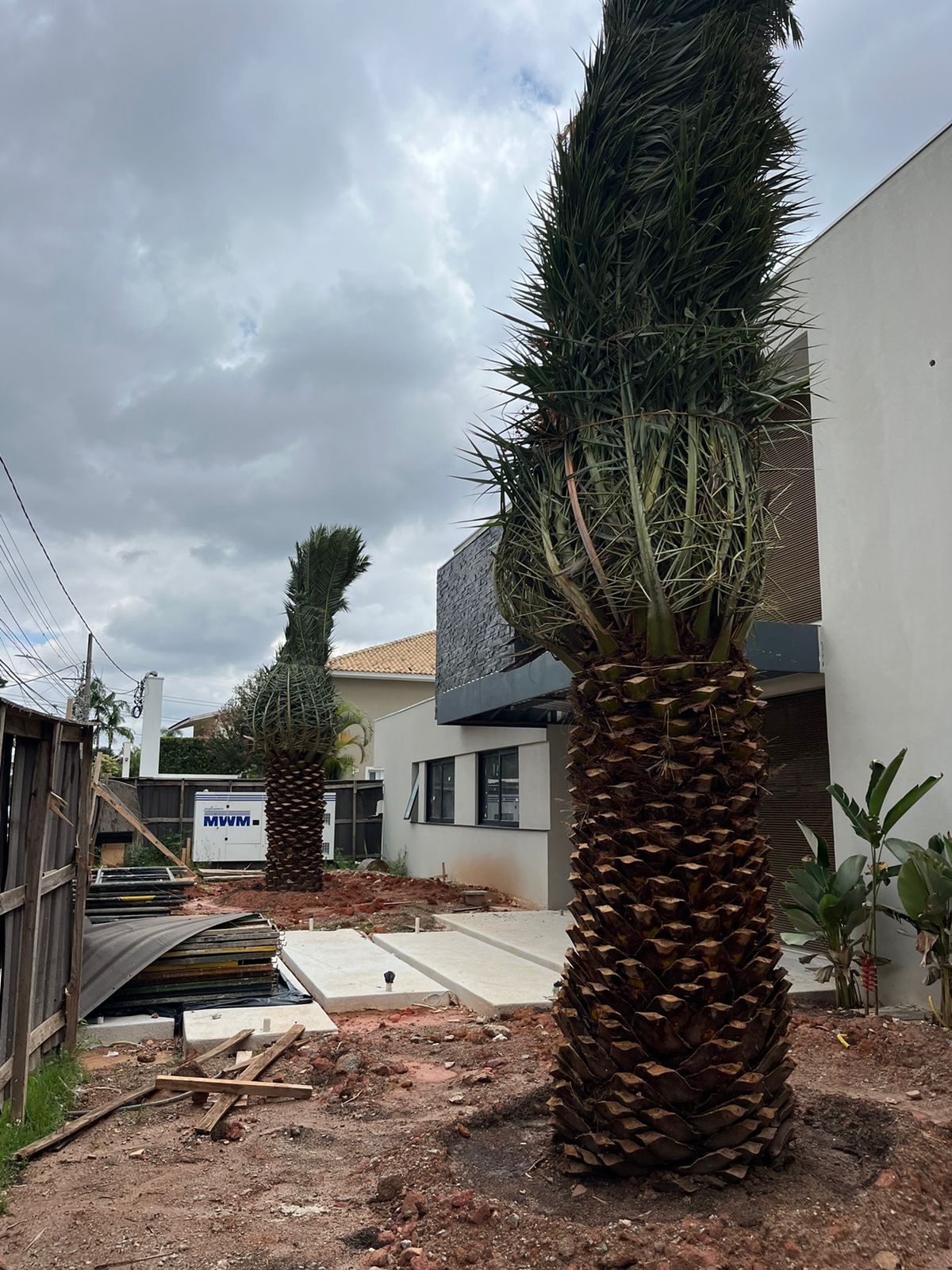 WhatsApp Image 2024-02-05 at 17.28.30.jpeg