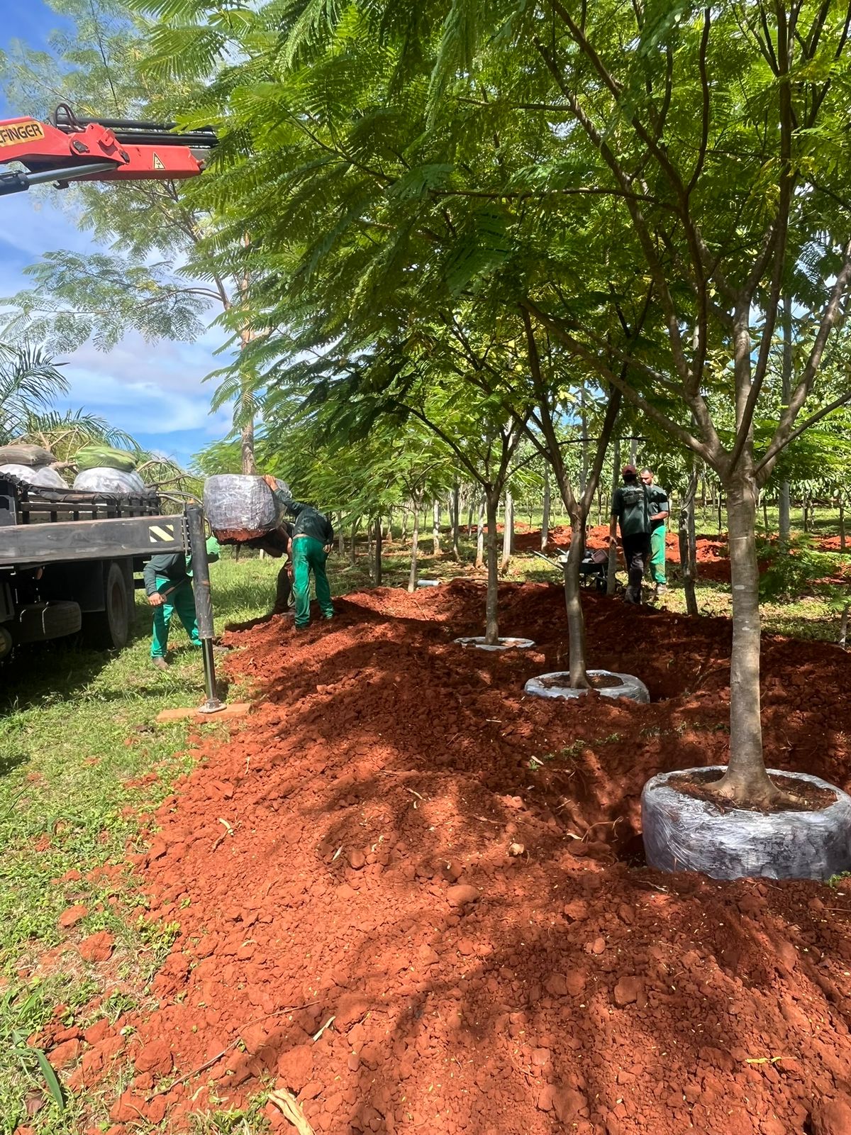 WhatsApp Image 2026-01-14 at 11.06.47 (6).jpeg