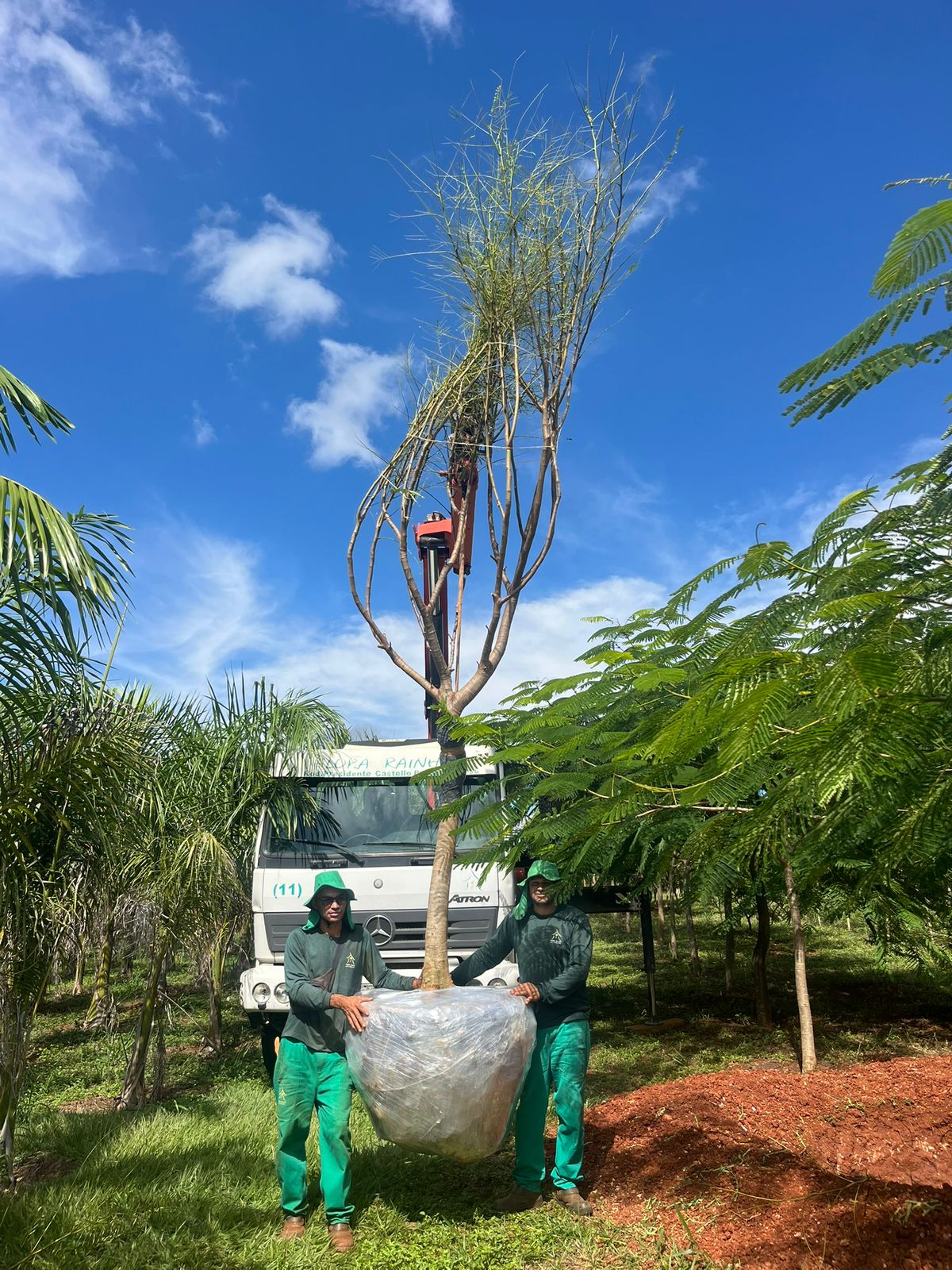 WhatsApp Image 2026-01-14 at 11.06.48.jpeg