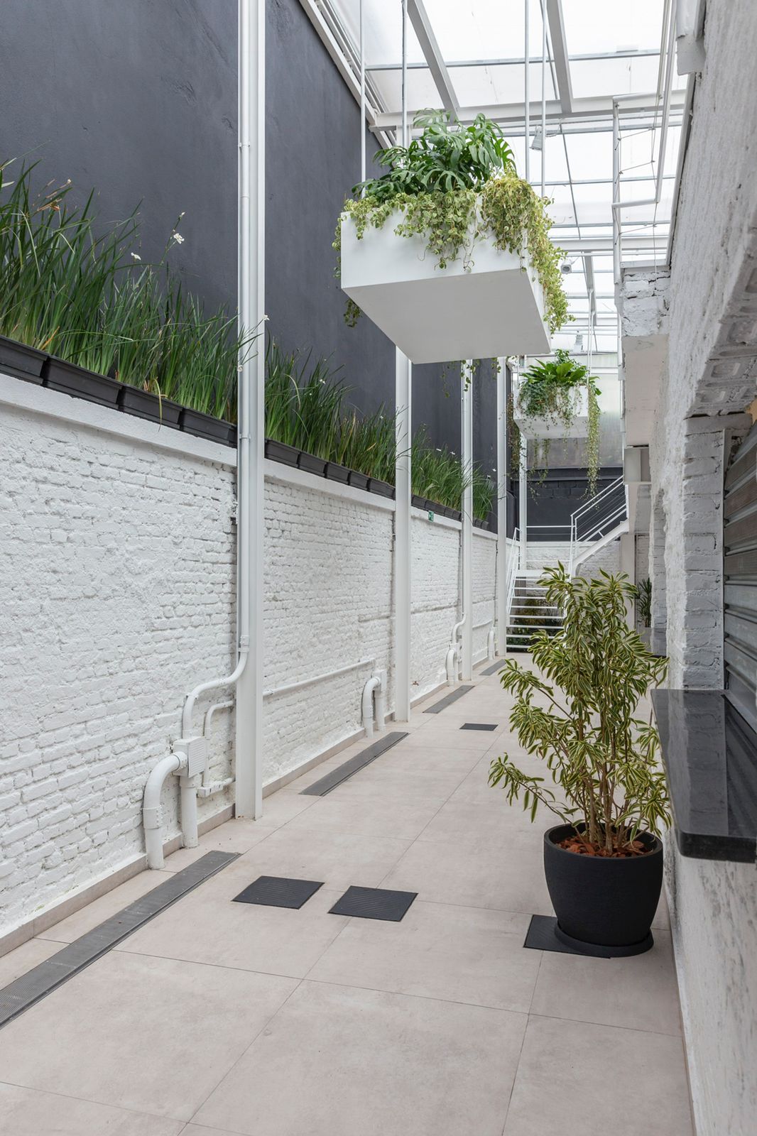 WhatsApp Image 2024-05-08 at 06.42.47.jpeg