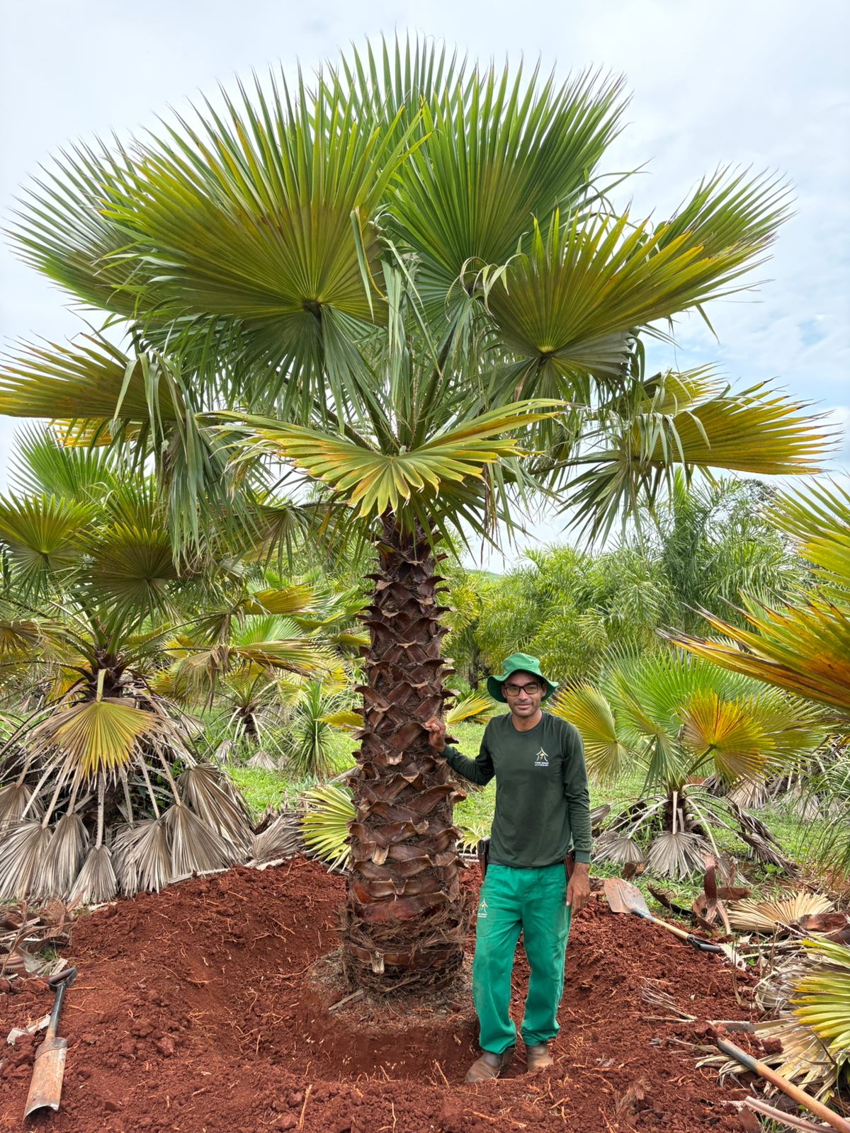 WhatsApp Image 2026-01-14 at 11.06.47 (1).jpeg