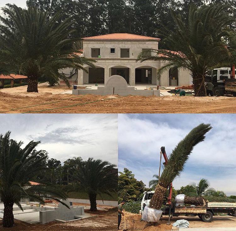 WhatsApp Image 2024-02-05 at 17.28.38.jpeg