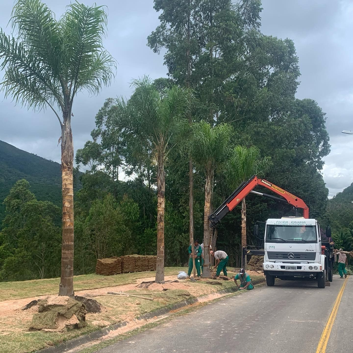 WhatsApp Image 2024-02-05 at 17.28.37.jpeg