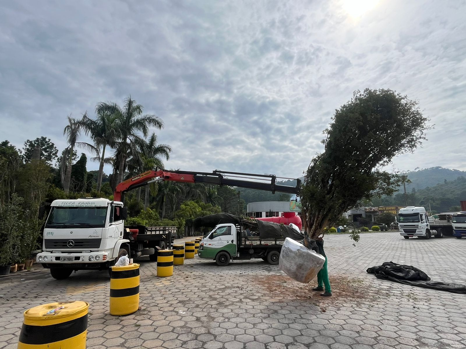 WhatsApp Image 2024-02-05 at 17.28.31.jpeg