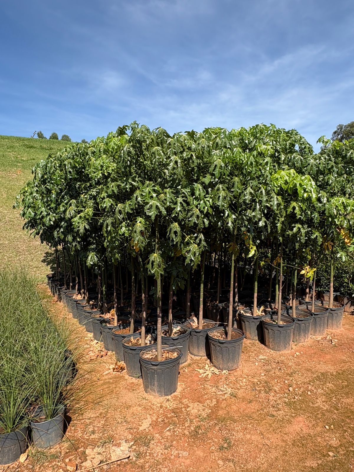 WhatsApp Image 2026-01-14 at 11.06.47.jpeg