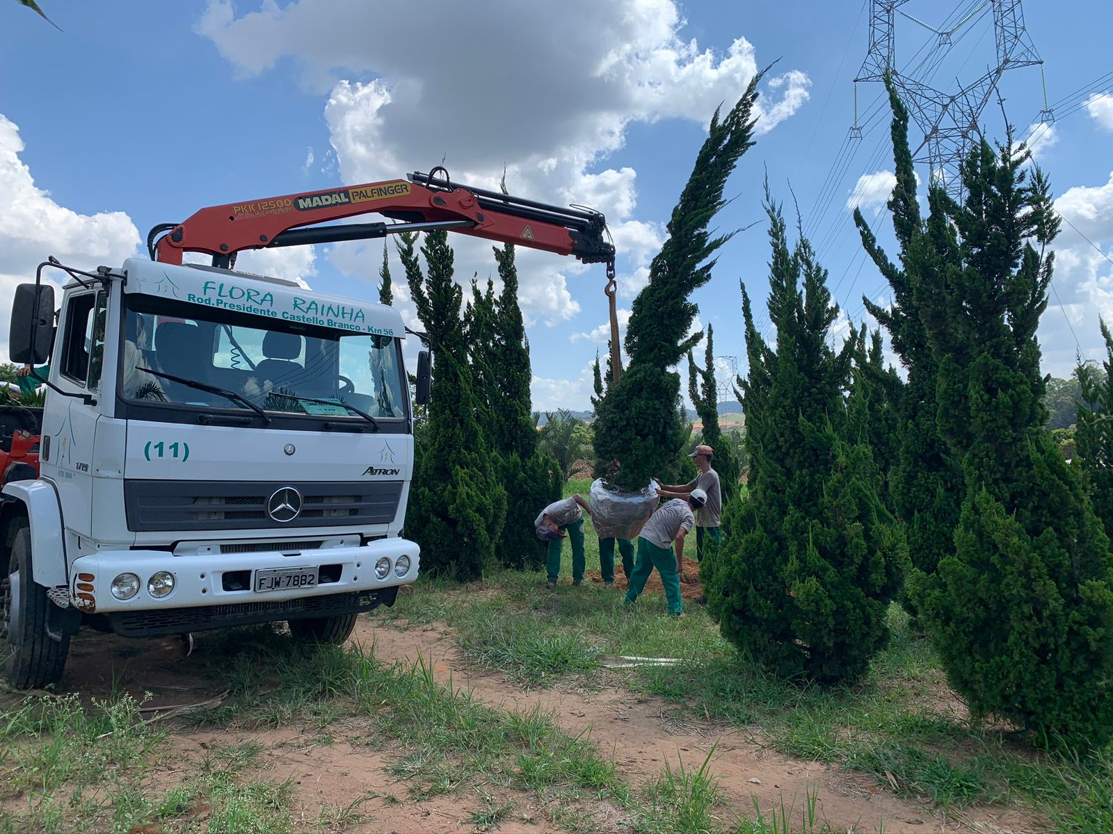 WhatsApp Image 2024-02-05 at 17.28.36.jpeg