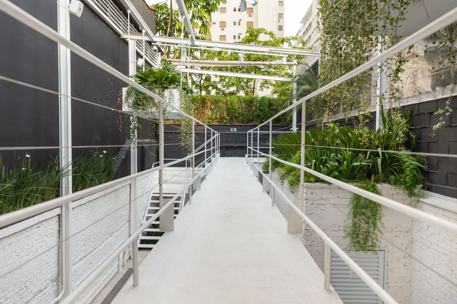 WhatsApp Image 2024-05-08 at 06.42.54.jpeg