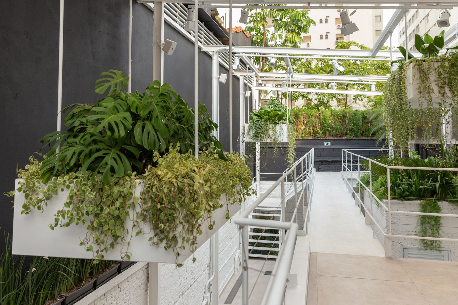 WhatsApp Image 2024-05-08 at 06.42.54 (1).jpeg