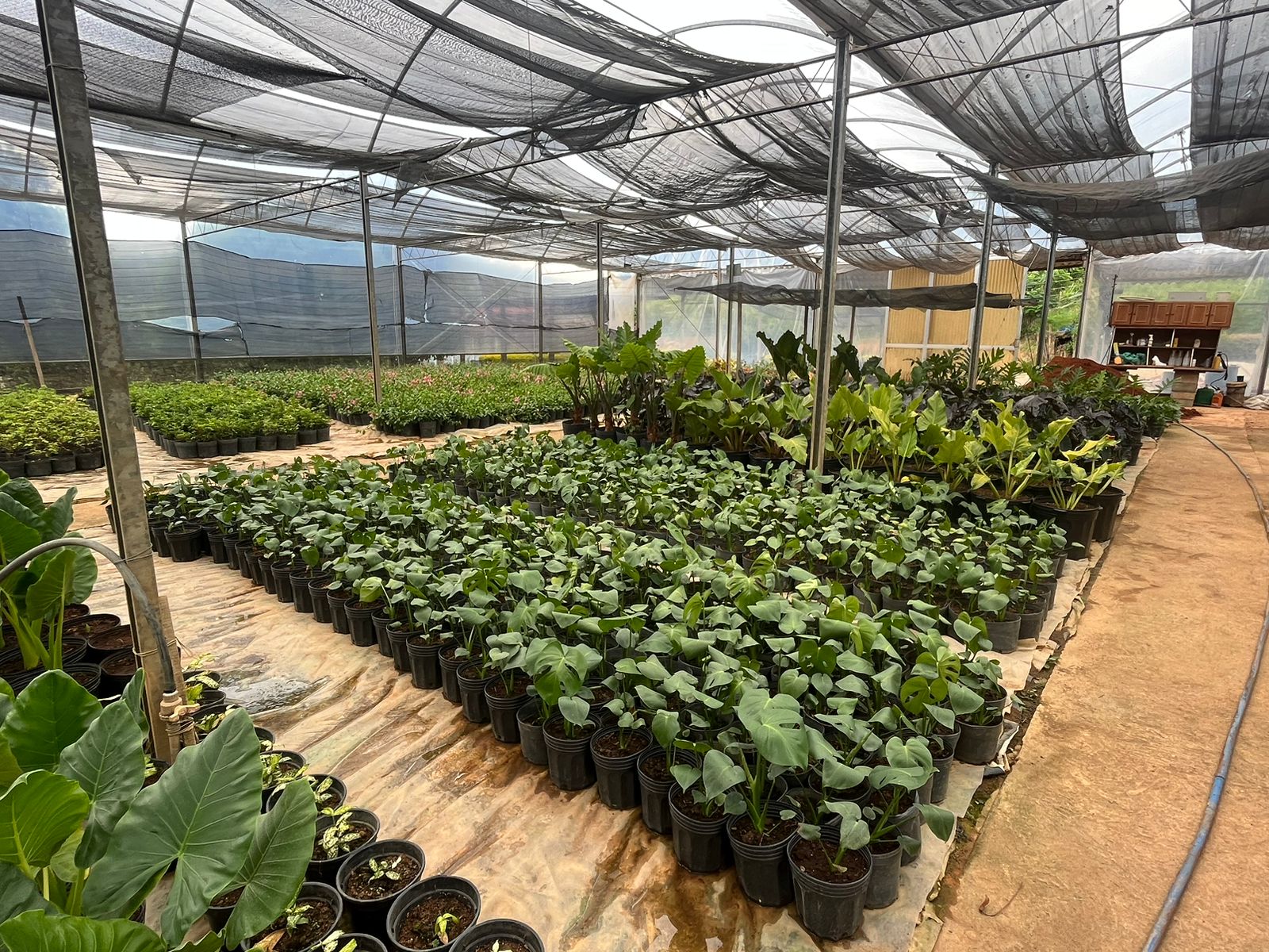 WhatsApp Image 2024-02-05 at 17.28.33 (2).jpeg